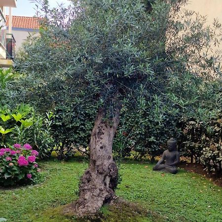 Superbe Appartement Avec Jardin Saint Charles Biarritz Bagian luar foto