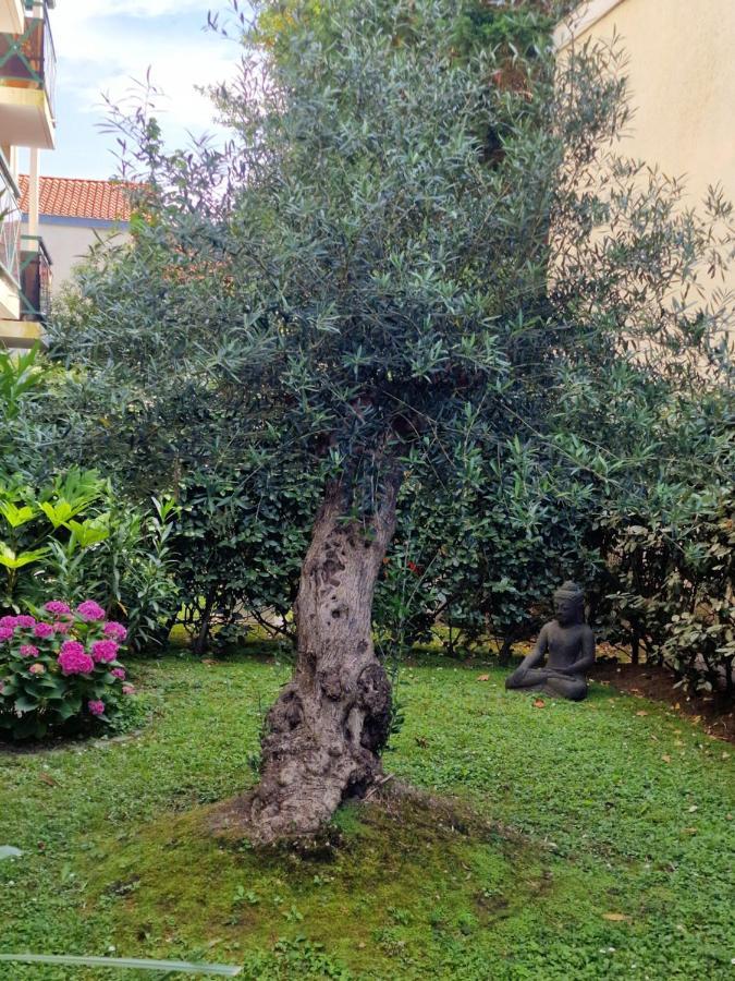 Superbe Appartement Avec Jardin Saint Charles Biarritz Bagian luar foto